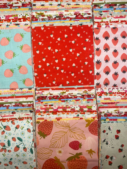 5" Charm Fabric Pack